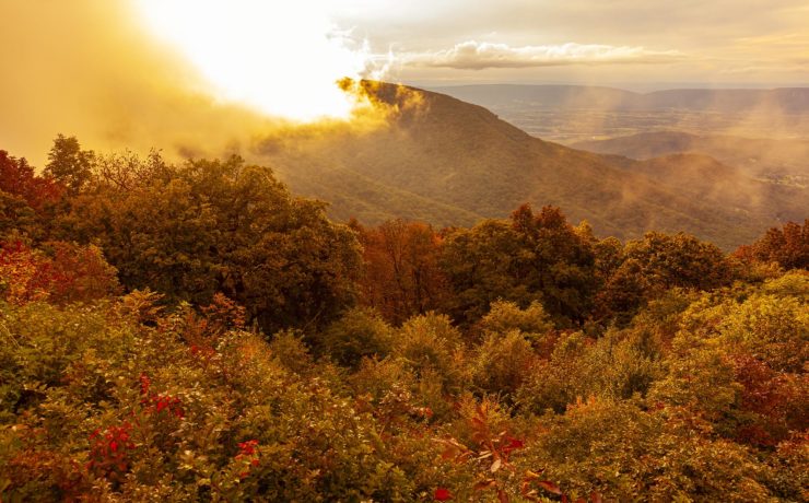 Shenandoah National Park