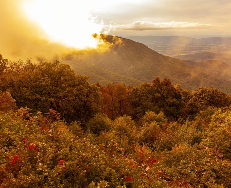 Shenandoah National Park