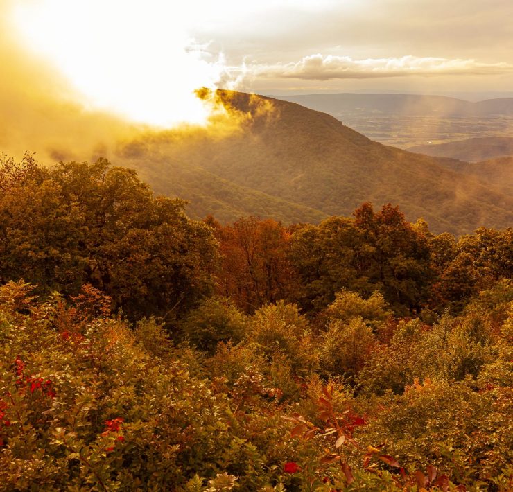 Shenandoah National Park