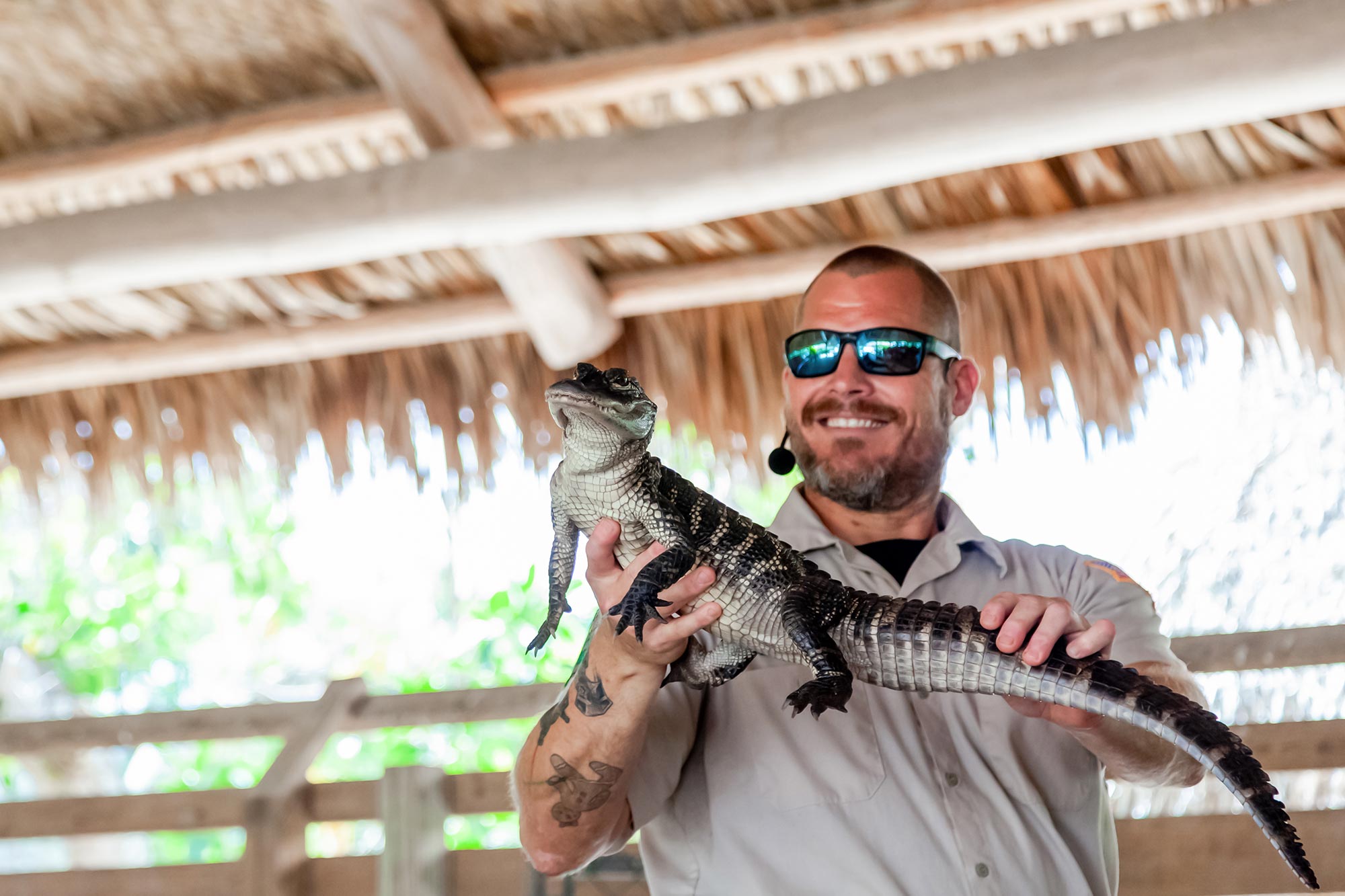 Alligator Farm Everglades