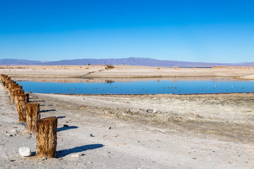 Salton Sea