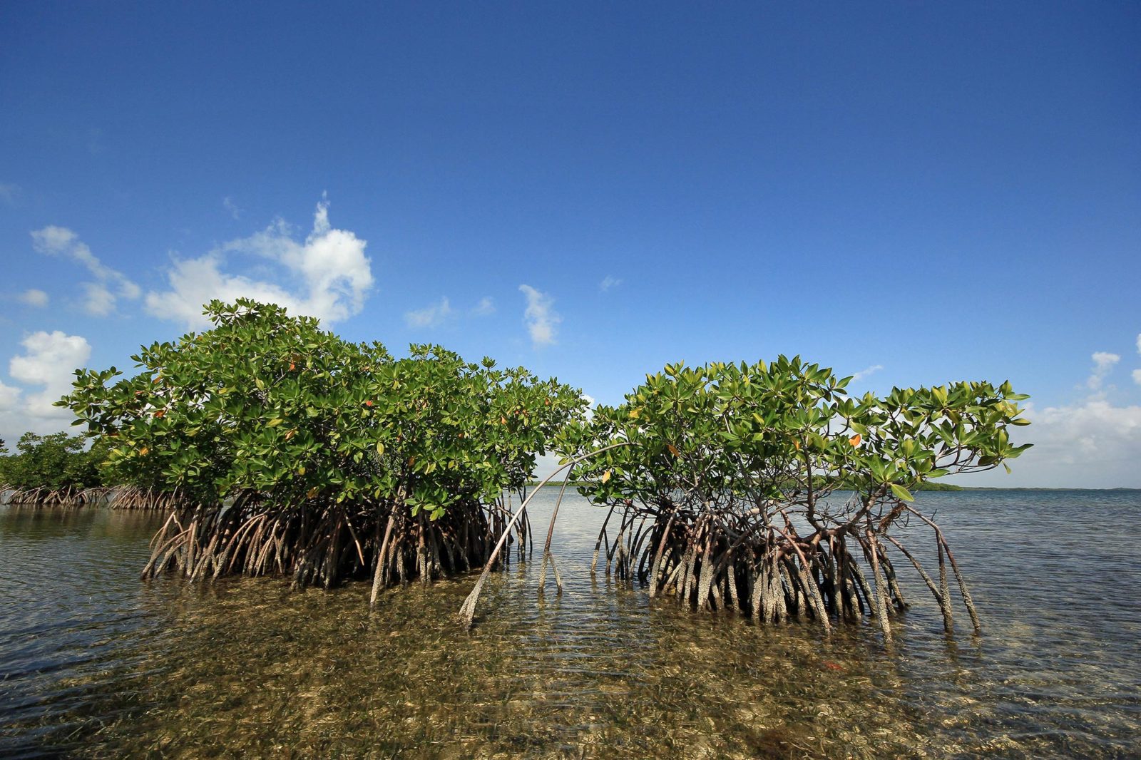 Biscayne National Park