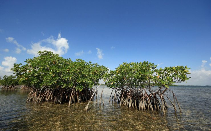 Biscayne National Park