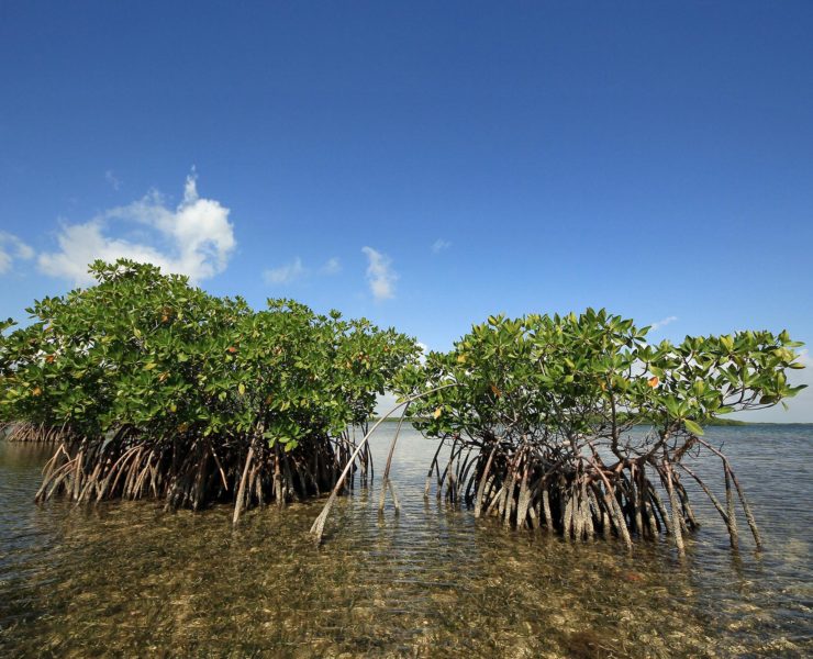 Biscayne National Park