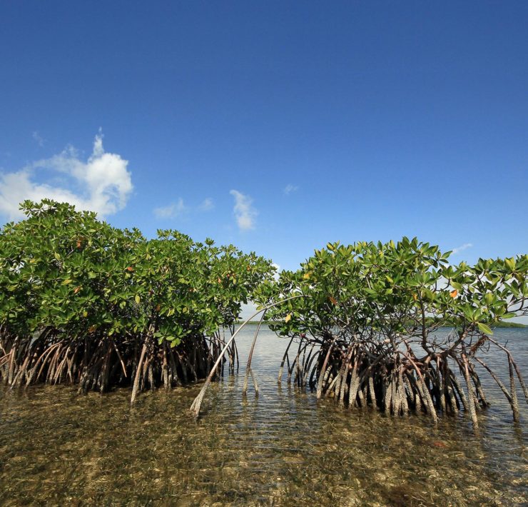 Biscayne National Park