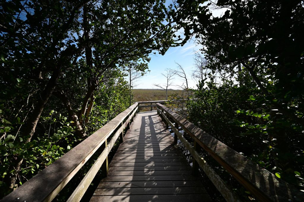 Everglades National Park