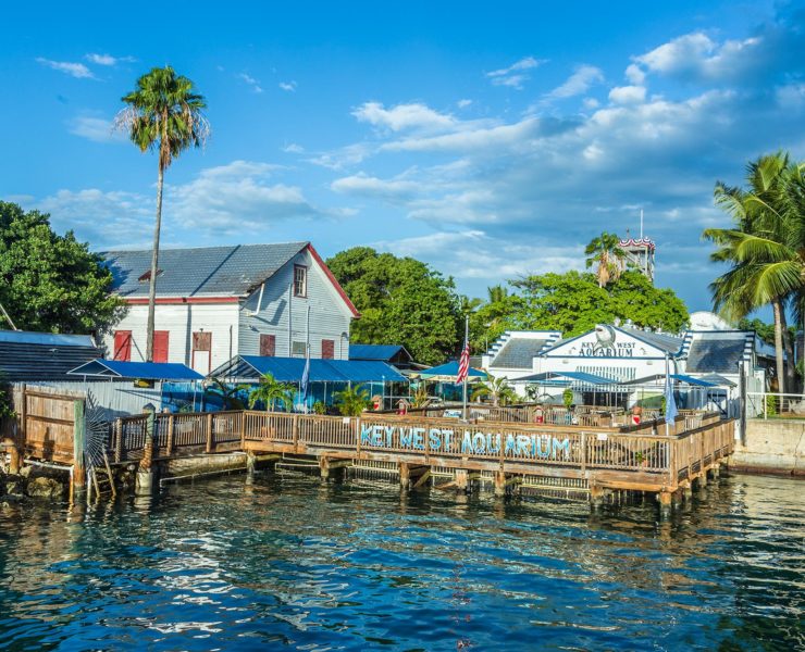 Key west Aquarium