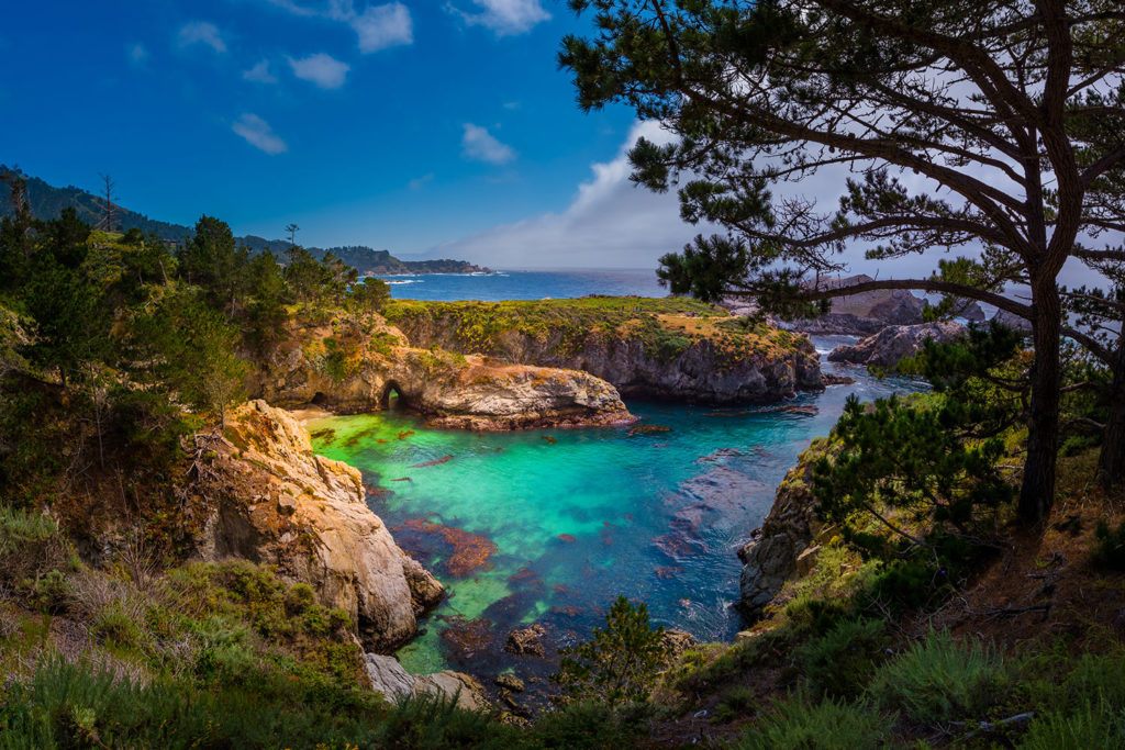 point lobos state park