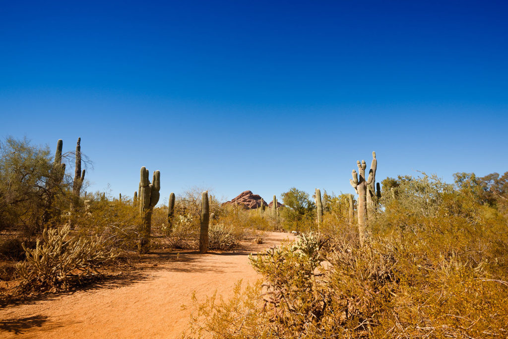 Arizona Trail -lange afstandswandeling Amerika
