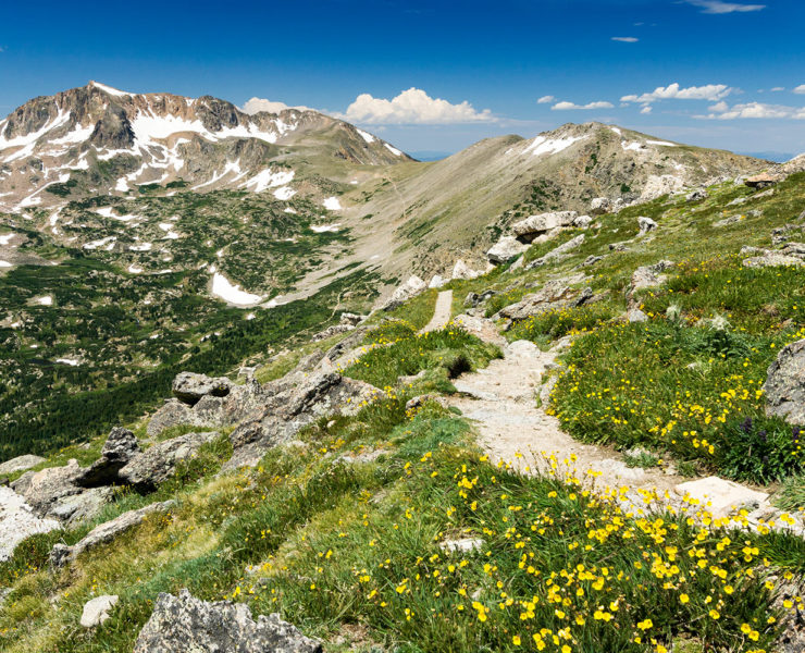 Continental Divide Trail -lange afstandswandeling Amerika