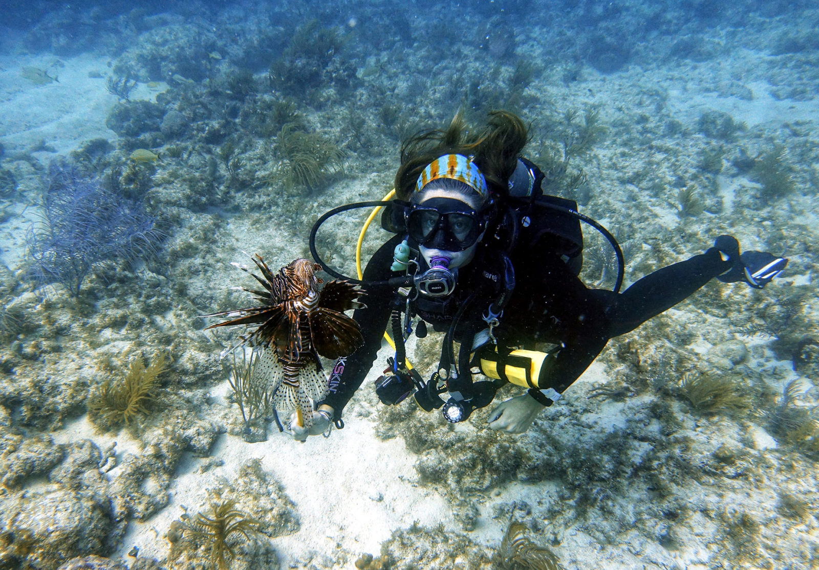 Duiker Key Largo