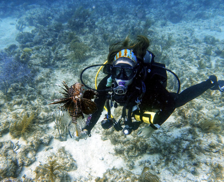 Duiker Key Largo