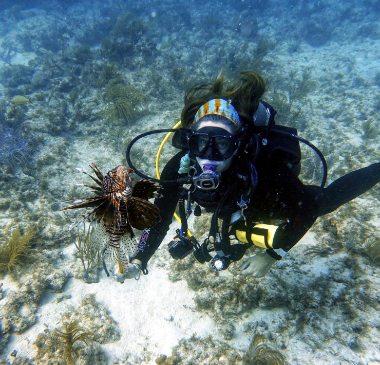 Duiker Key Largo