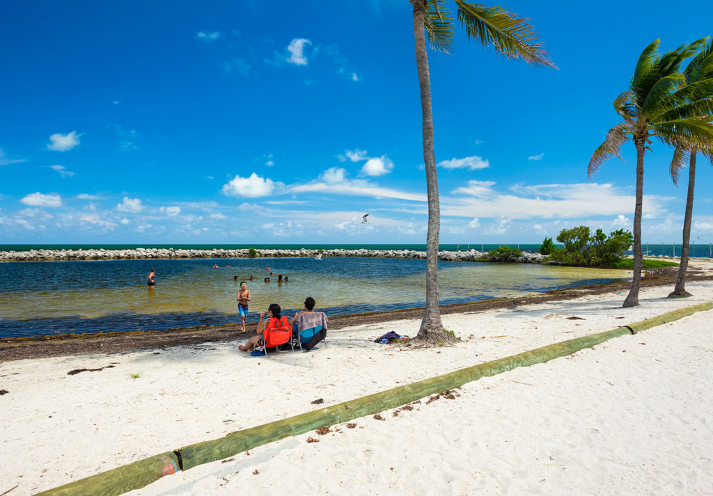 harry harris park and beach