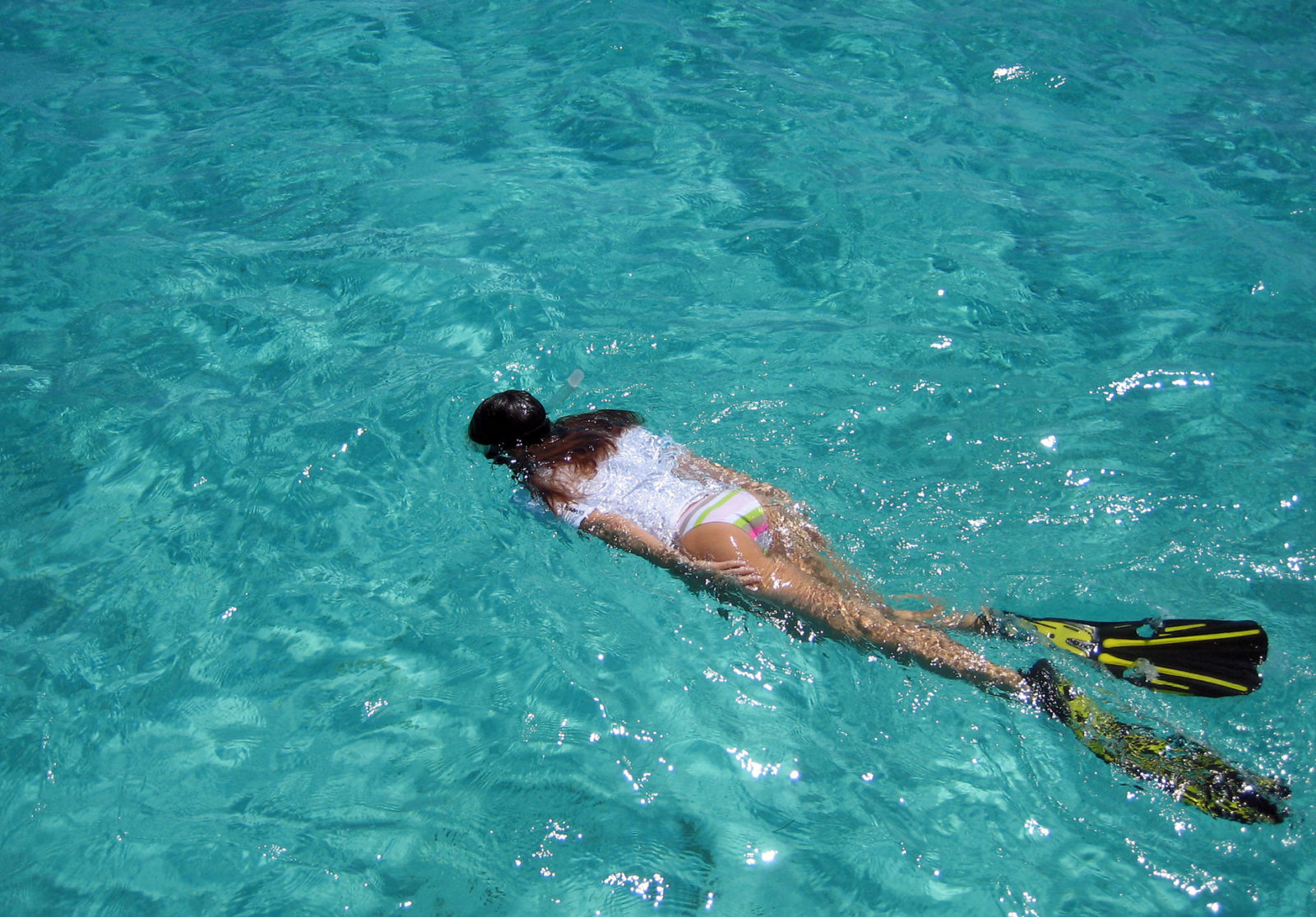 Snorkelen Key Largo