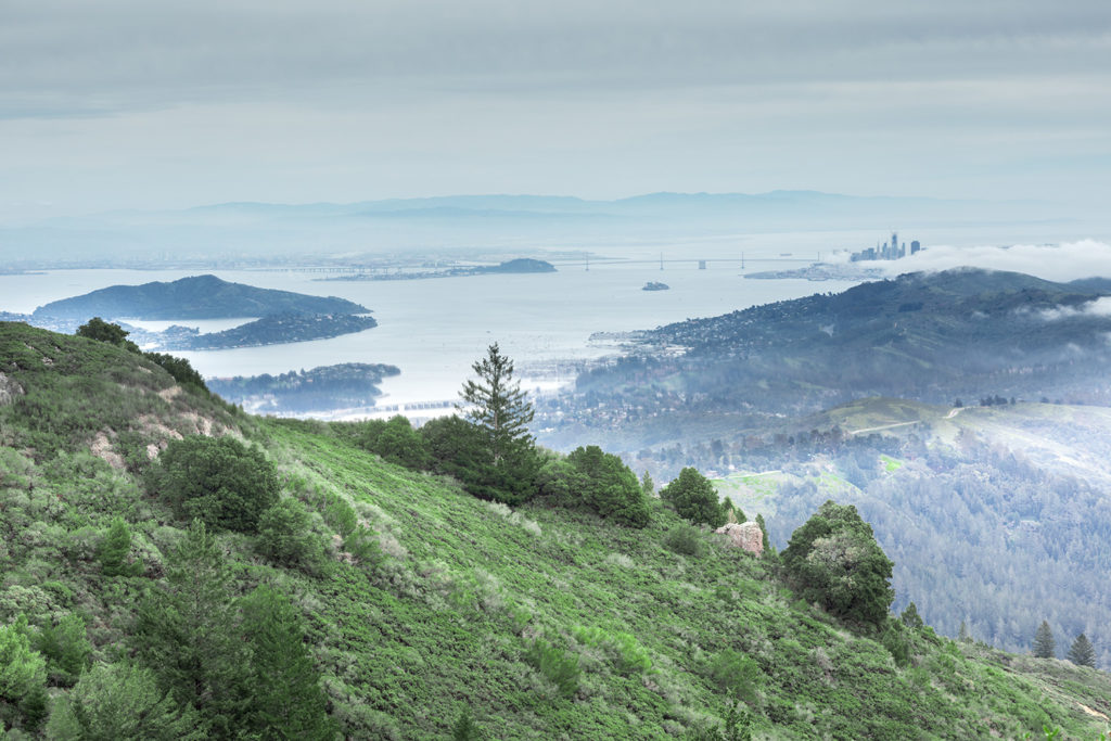 Mount Tamalpais State Park