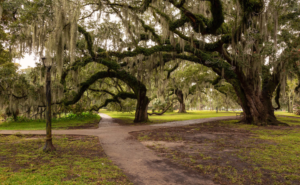 City Park New Orleans