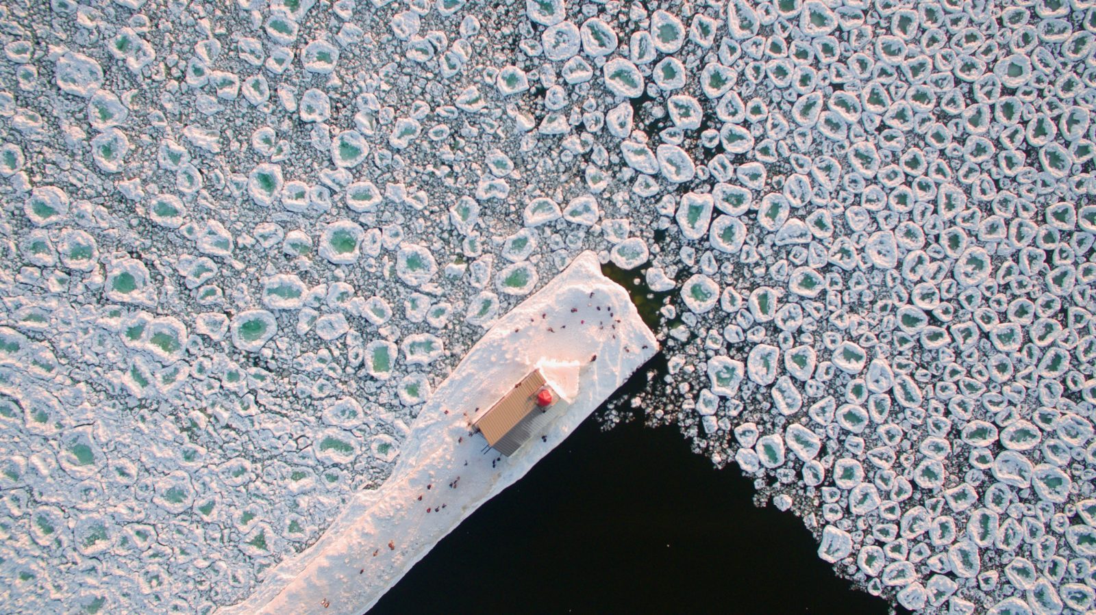 Op Lake Michigan, nabij Chicago, vormen zich 'ice pancakes' een weerfenomeen waarbij water bevriest in ronde pannenkoeken