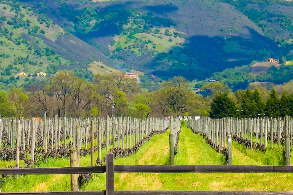 Sonoma Valley