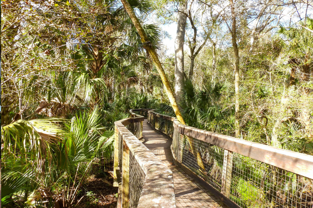 Hillsborough River State Park