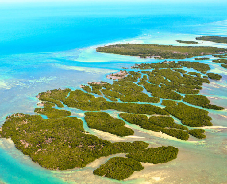 Eilanden Florida Keys