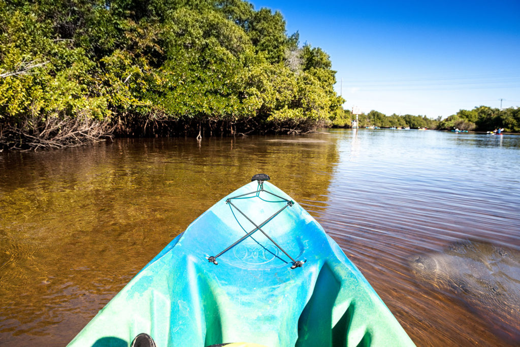 Manatee Fort Myers