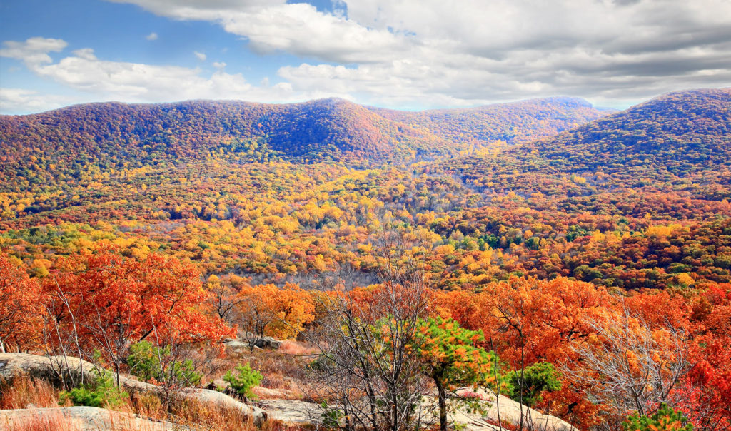 Bear Mountain State park