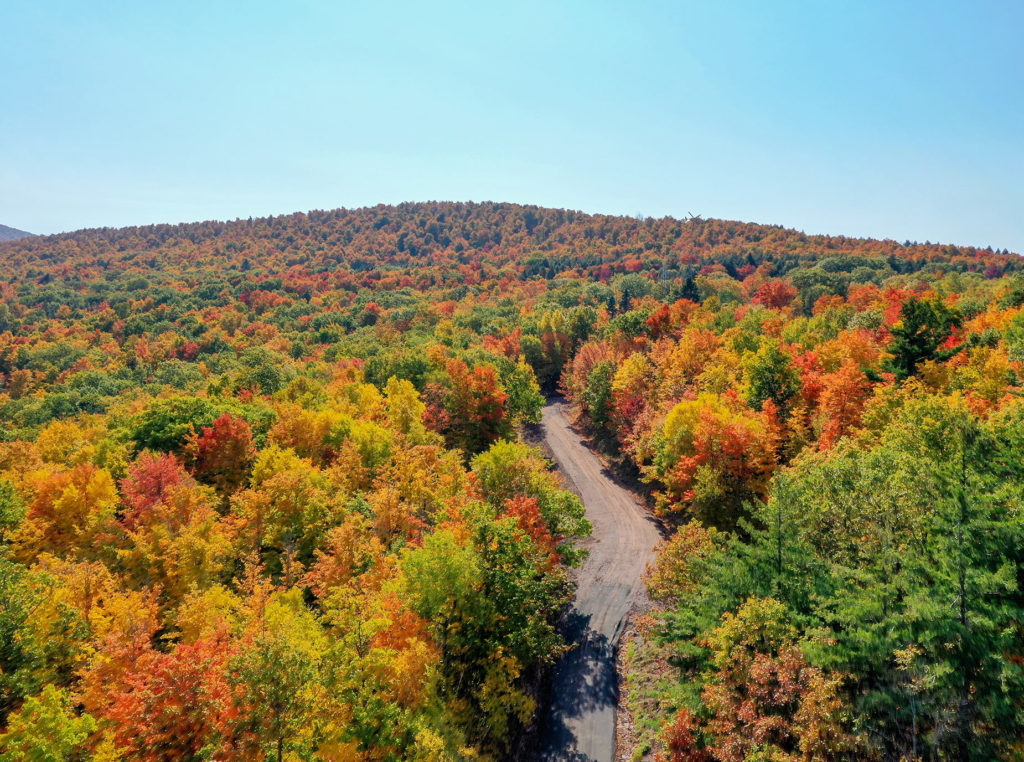 Catskills