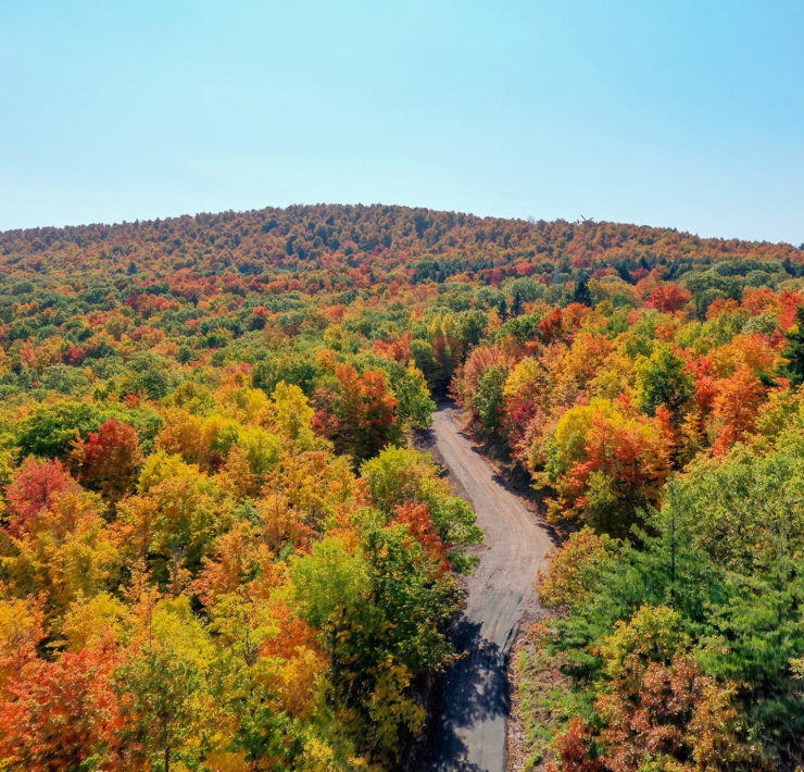 Catskills