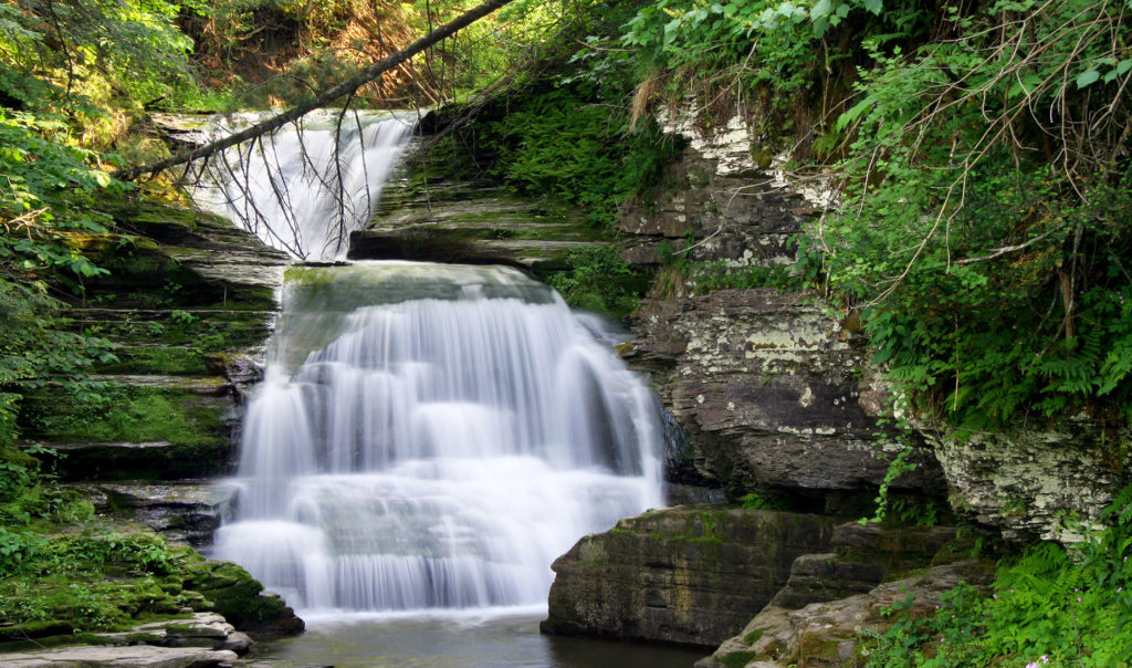 Robert Treman State Park