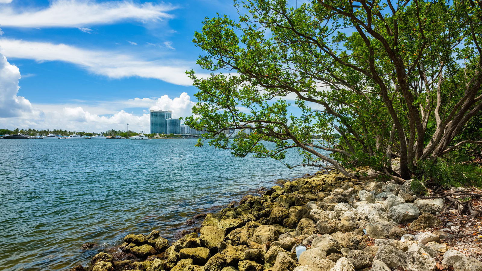 Uitzicht Oleta river State Park