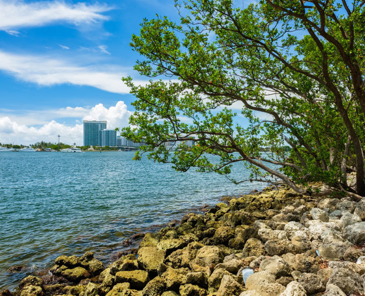 Uitzicht Oleta river State Park