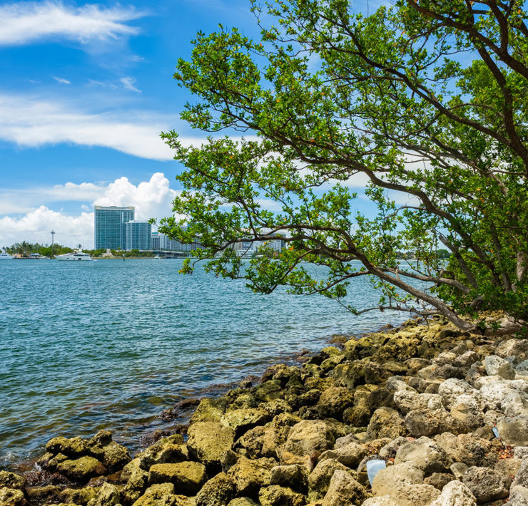 Uitzicht Oleta river State Park