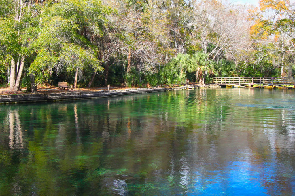 Wekiwa Springs State Park in Florida