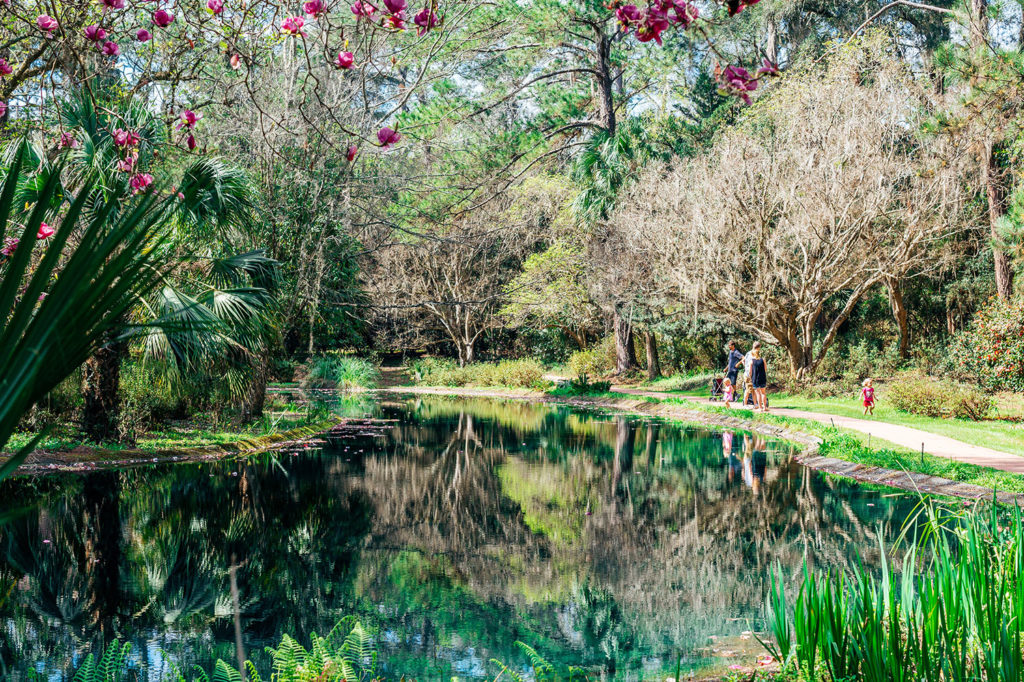 Alfred B Maclay Gardens State Park