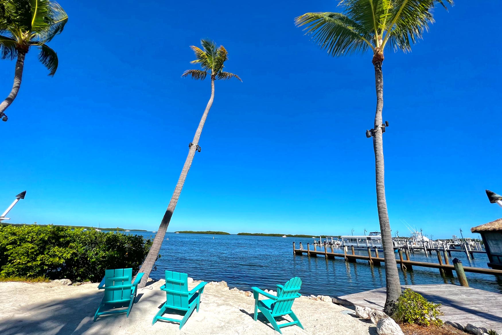 In het idyllische en rustige Bayside Marina in Islamorada kom je helemaal tot rust