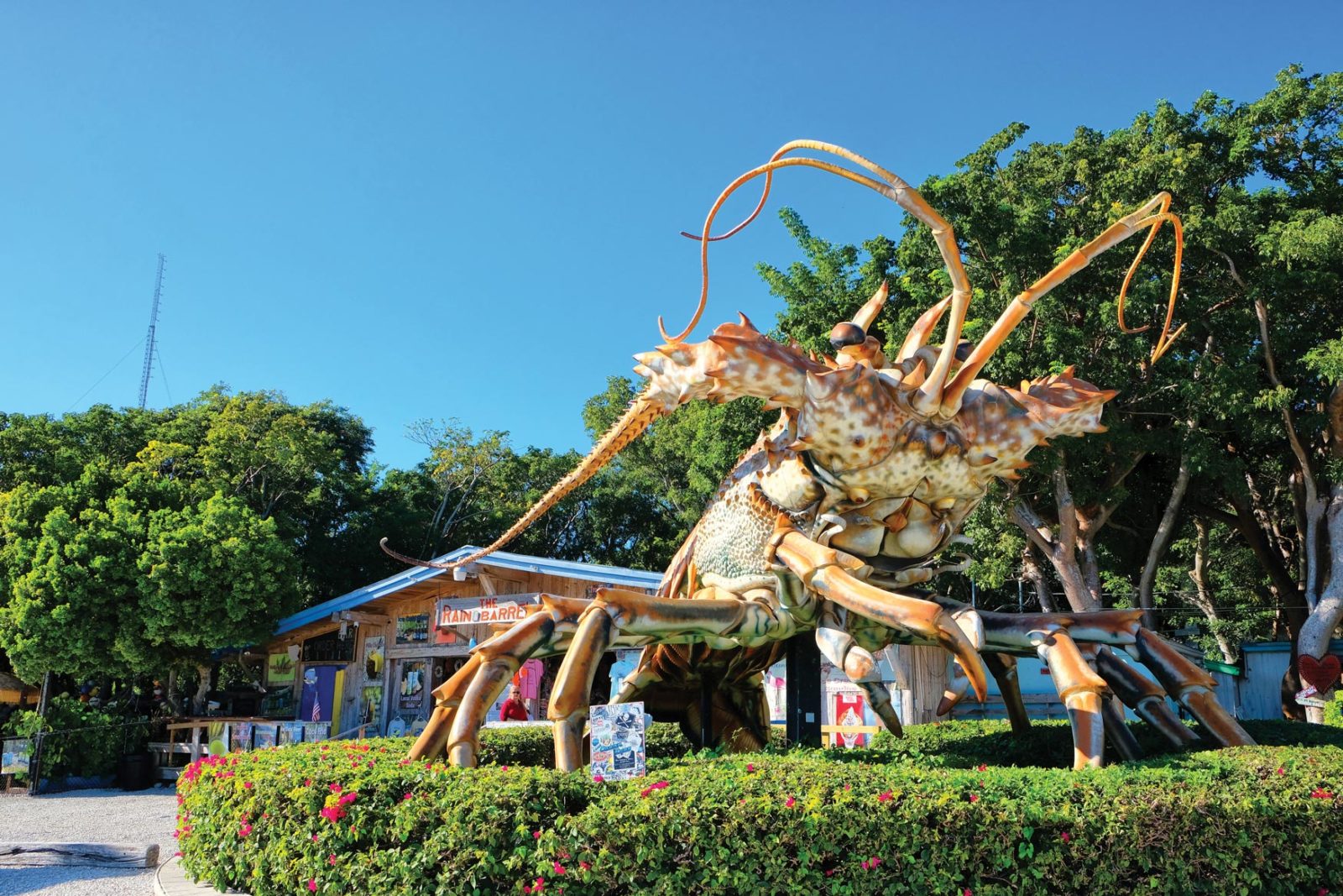 Betsy de Lobster, een icoon in Islamorada op de Florida Keys