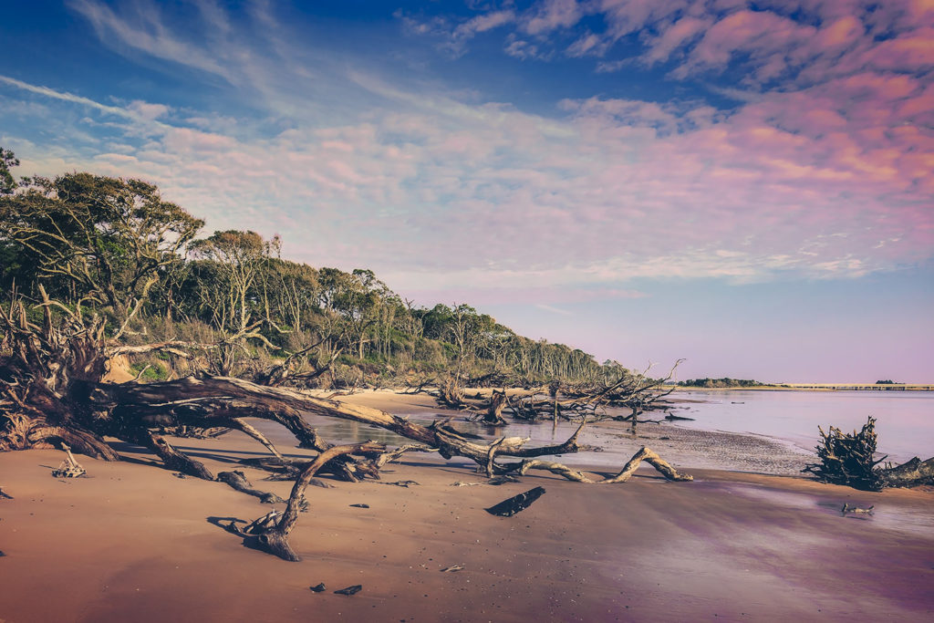 Big Talbot Island State Park