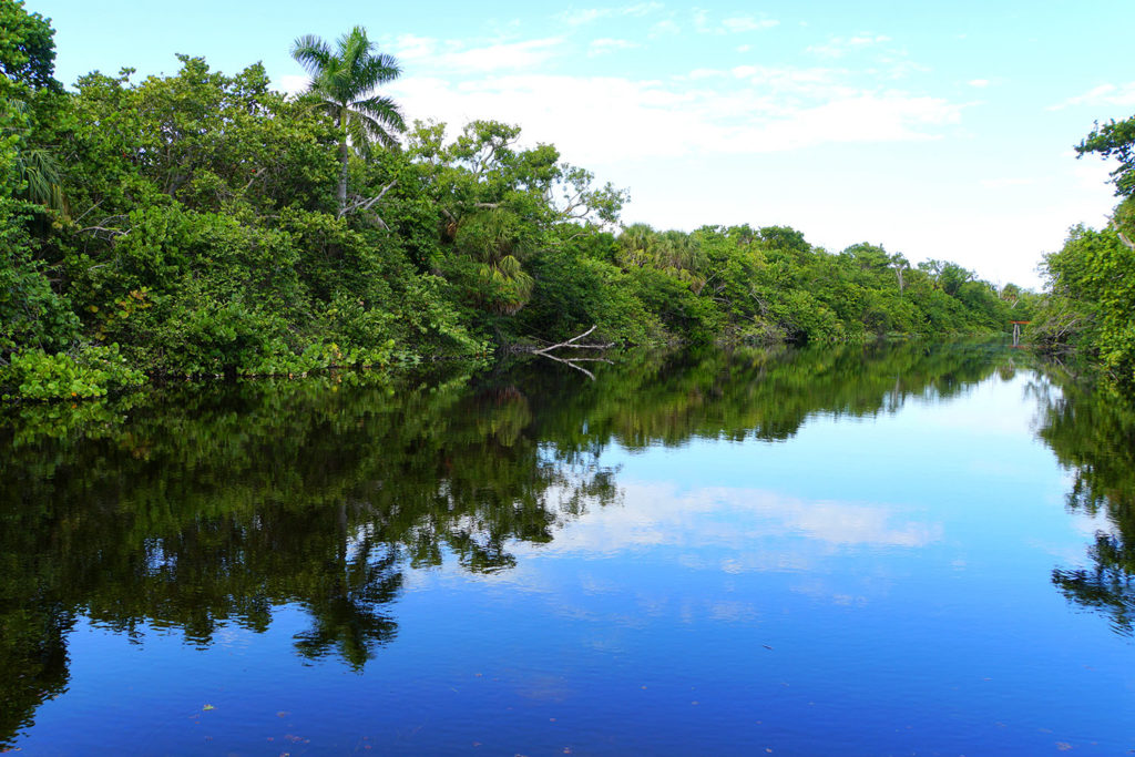 Hugh Taylor Birch State Park