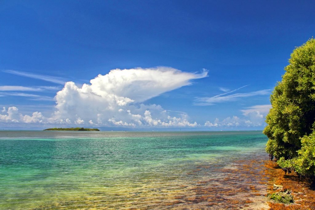 Het onbewoonde eiland 'Indian Key' in de Florida Keys