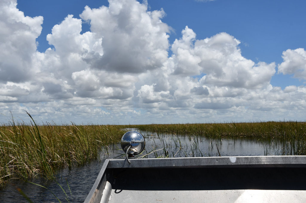 Sawgrass Recreation Park