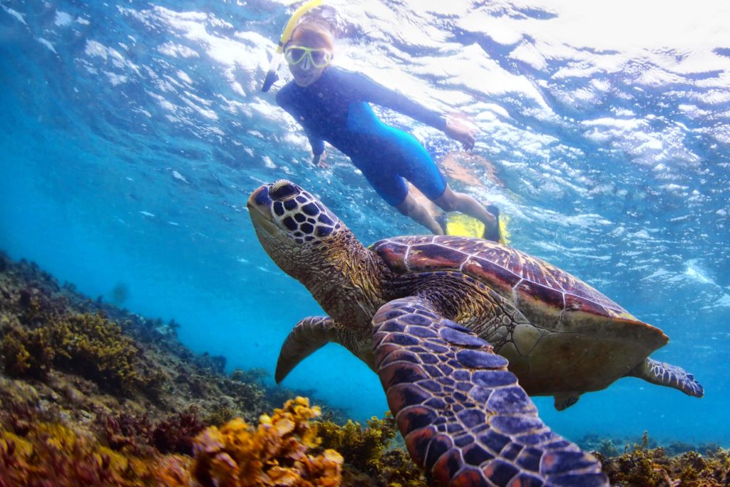 Snorkelen rond de wateren van Islamorada in de Florida Keys