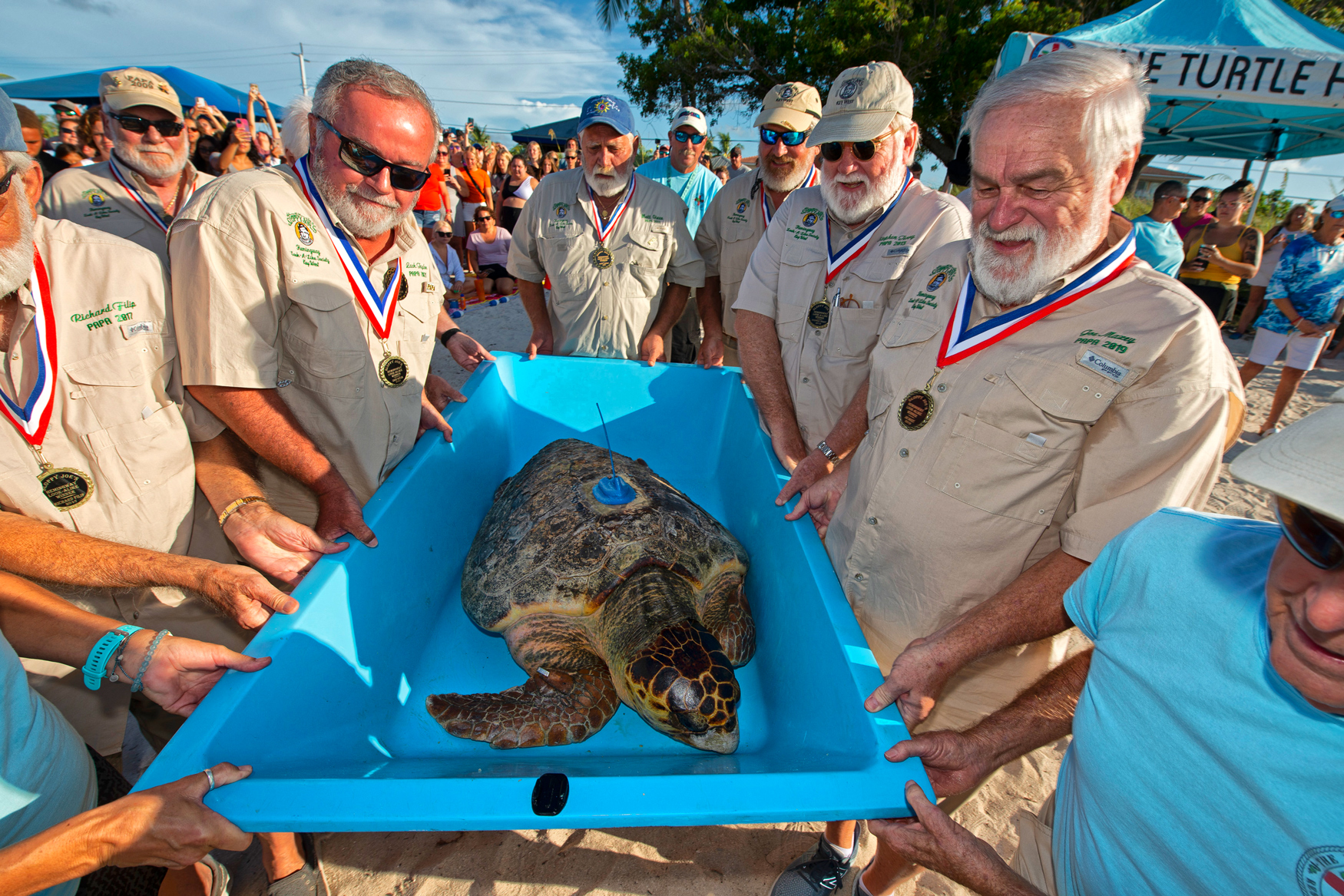 Turtle Hospital in Marathon is een non-profit organisatie die gewonde zeeschildpadden verzorgt en terug vrijlaat