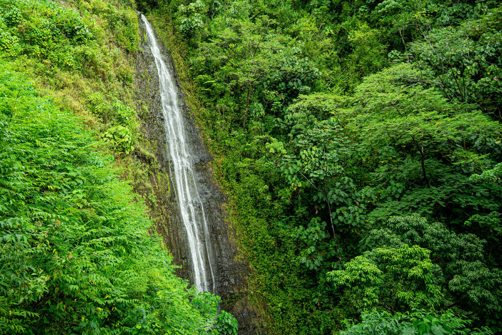 Manoa Falls