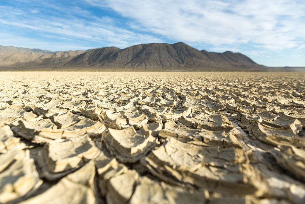 Black Rock Desert