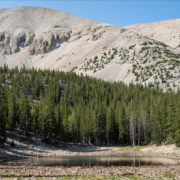 Great Basin National Park in Nevada