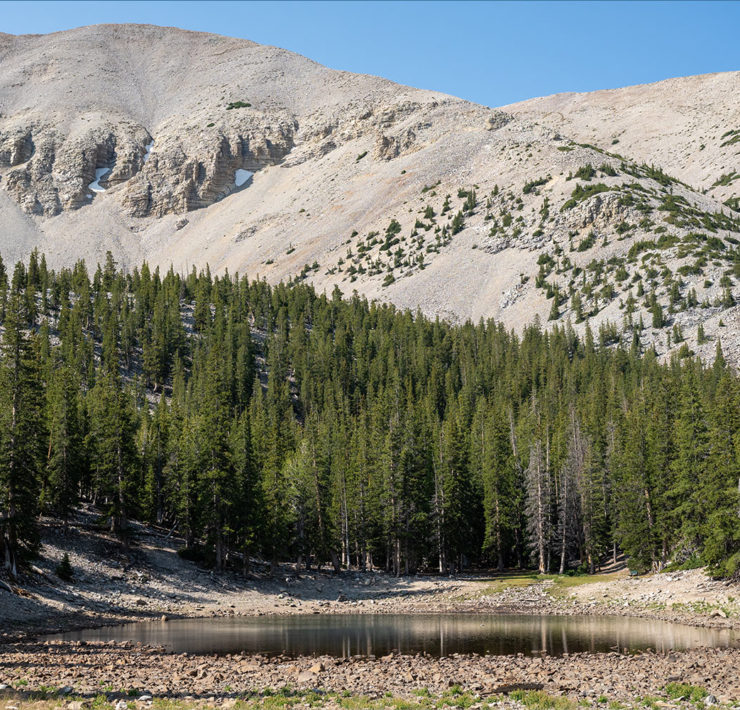 Great Basin National Park in Nevada