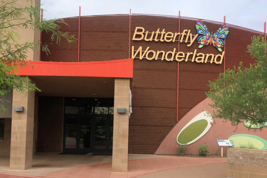 Butterfly Wonderland in Scottsdale