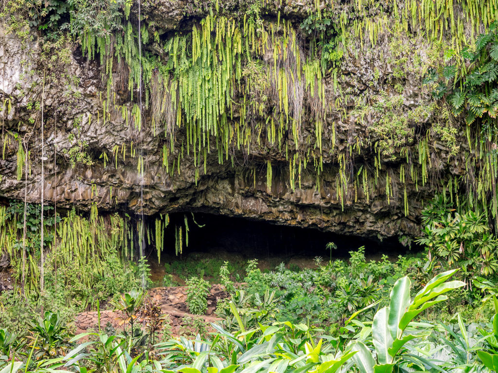 Fern Grotto