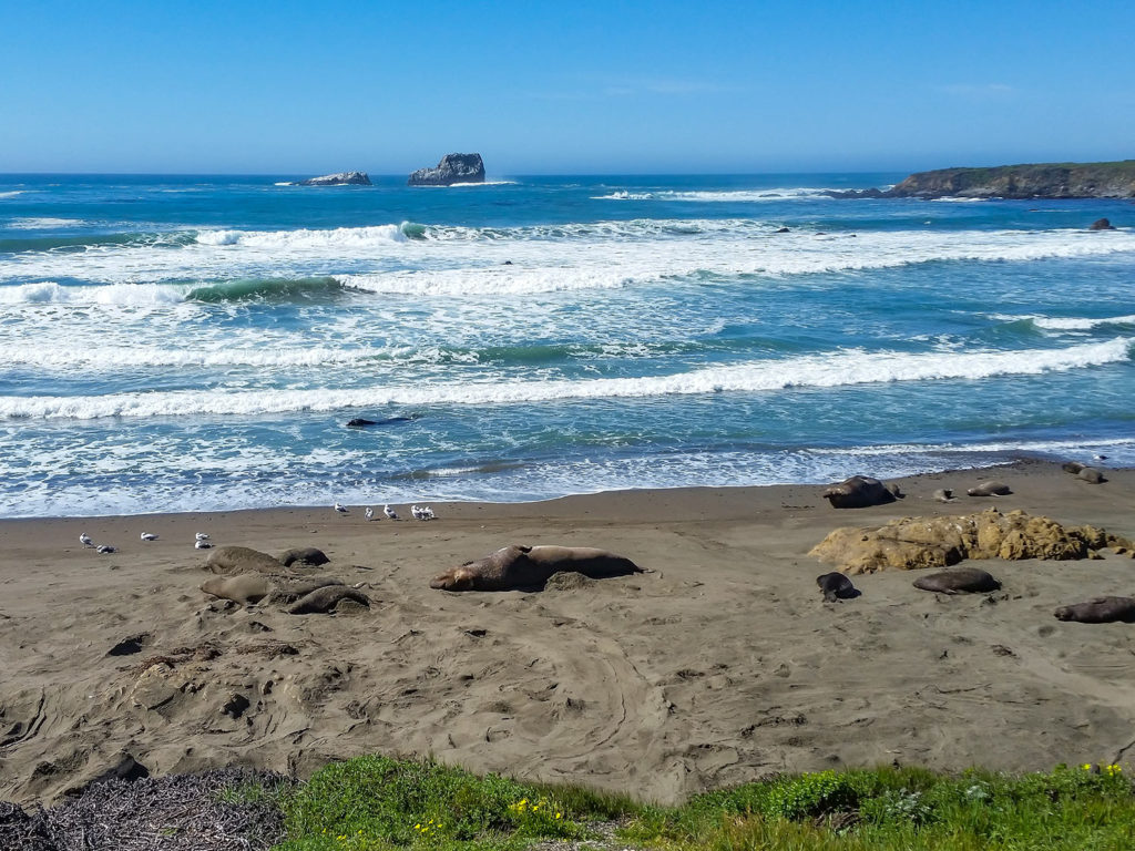 Piedras Blancas